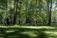 IMG_20170521_143457_L