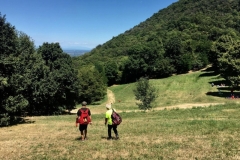 Cammino gianu e mariobis_L