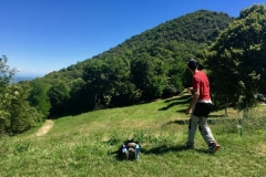 Francesco drive Hole 5_L