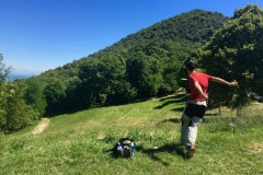 Francesco drive Hole 5tris_L