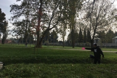 23112918_10155050916166616_1868300762_o