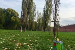 23134749_10155050916146616_1071128902_o