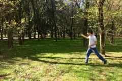 22375299_10154999194191616_822213188_o