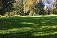 22375404_10154999193676616_270183158_o