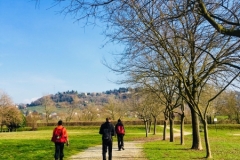 27745134_10155290953731616_1191780519_o