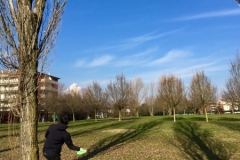 27786760_10155290953101616_1496394110_o