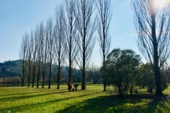 27786884_10155290953546616_981506385_o