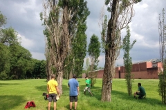 33020169_1080216575450440_5421388315519614976_n