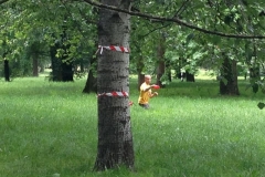 33168518_1080216005450497_2056457902129938432_n