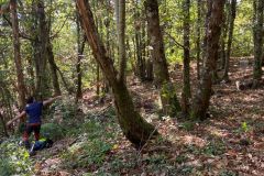 WhatsApp-Image-2021-10-17-at-18.26.41-4