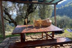 WhatsApp-Image-2021-10-17-at-18.27.37-1